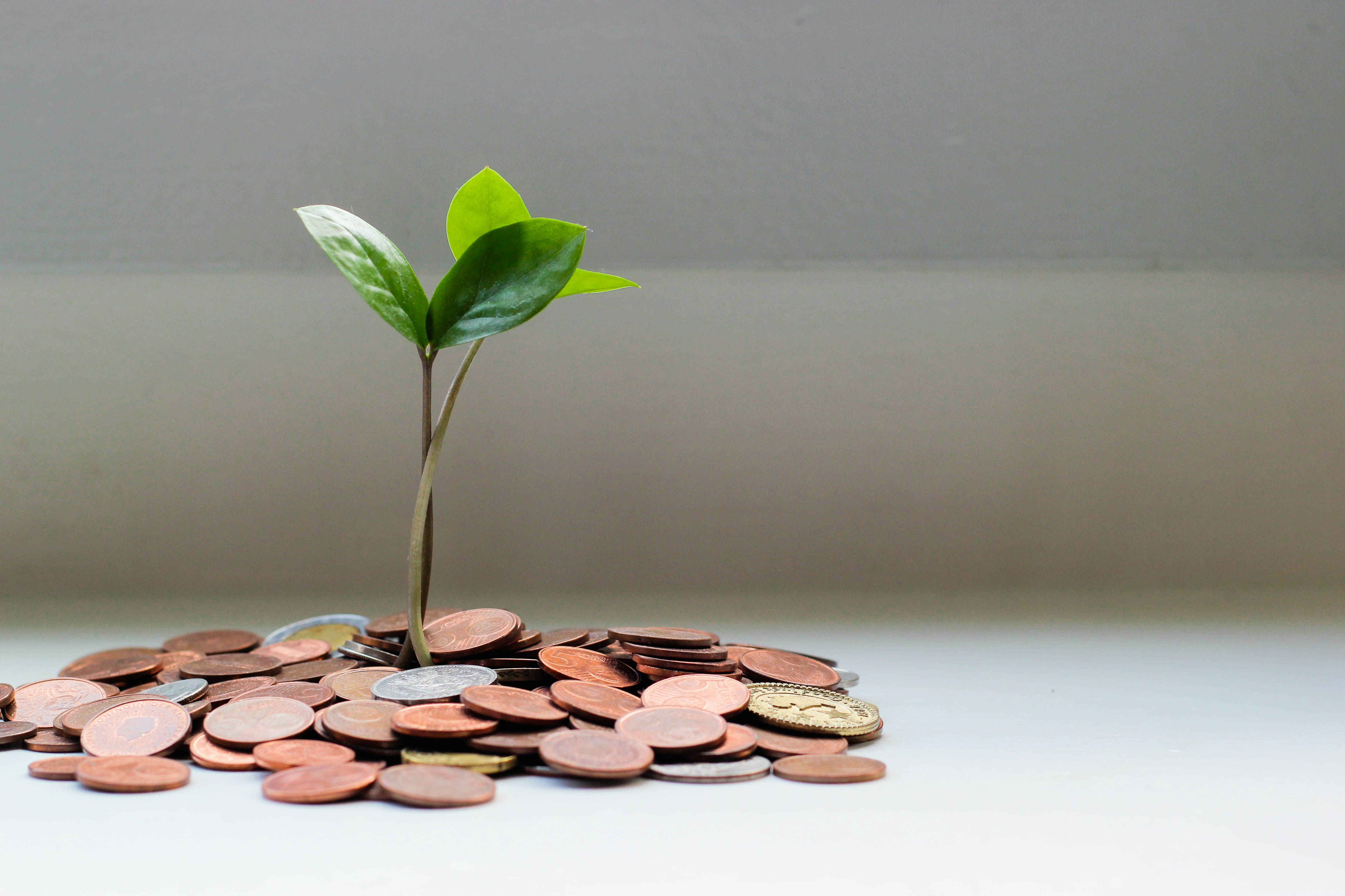 Top Things to Look for in Health Insurance 16 img
