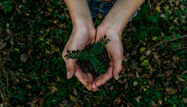 Sustainable Packaging Design for Small Businesses 11 img